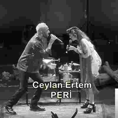 Ceylan Ertem Peri (2019)