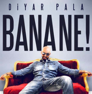 Diyar Pala Bana Ne (2017)
