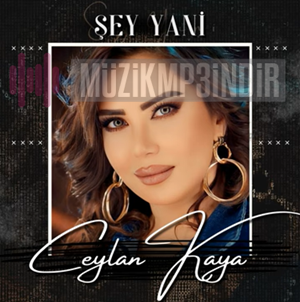 Ceylan Kaya Şey Yani (2023)
