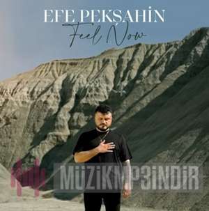 Efe Pekşahin Feel Now (2022)