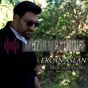 Ercan Aslan Mor Sümbüller (2022)