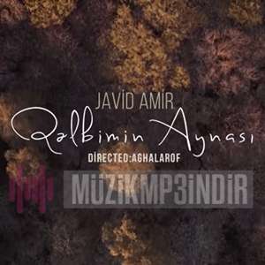 Javid Amir Qelbimin Aynası (2022)