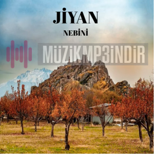 Jiyan Nebini (2022)